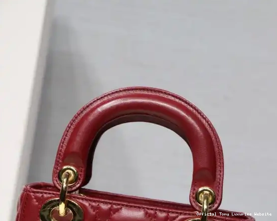 Tony Luxuries Mini With Lambskin Lady diro 0427
